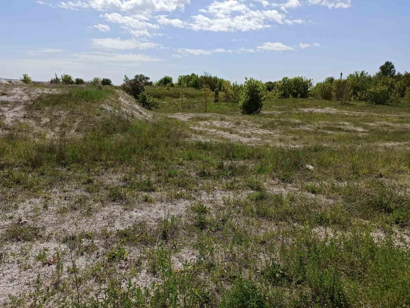 Изображение слайдера 0